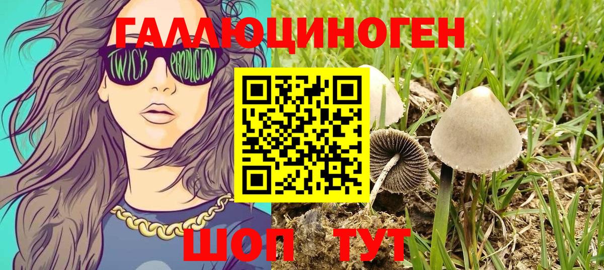 Псилоцибиновые грибы GOLDEN TEACHER Балашиха