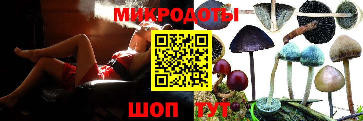 где найти   Вход с VPN  Балашиха  Галлюциногенные грибы GOLDEN TEACHER 